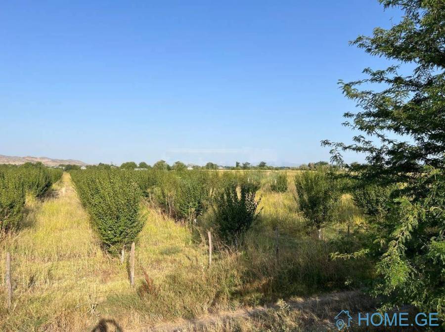 Land For Sale, Agricultural, Kvemo Qulari