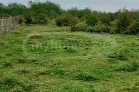 Land For Sale, Kvitiri