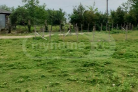 Land For Sale, Kvitiri