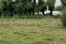 Land For Sale, Kvitiri