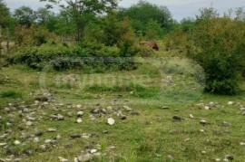 Land For Sale, Kvitiri