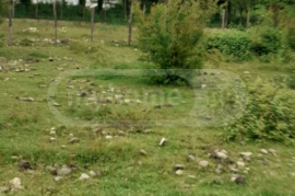 Land For Sale, Kvitiri