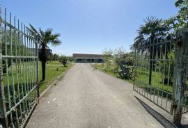 For Sale , Universal, Senaki