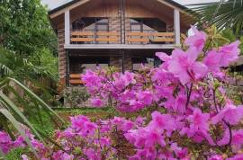 Daily Rent, 4 Room, Batumi, Mtsvane Kontskhi