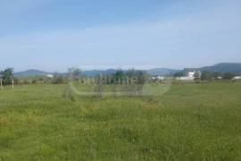 Land For Sale, Norio 