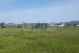Land For Sale, Norio