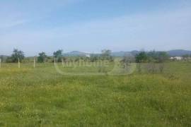 Land For Sale, Norio 