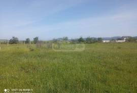 Land For Sale, Norio 