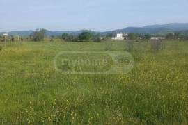 Land For Sale, Norio 