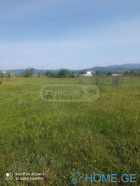 Land For Sale, Norio