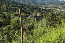 Land For Sale, For Investment, Zeda Achkva
