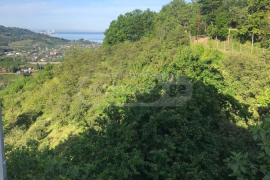 Land For Sale, For Investment, Zeda Achkva