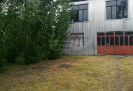 House For Sale, 7 Room, Ozurgeti , Bokhvauri