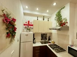 Daily Apartment Rent, New building, Mtatsminda