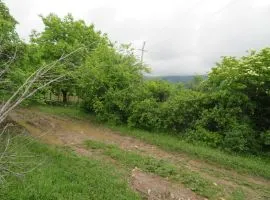 Land For Sale, Agricultural, Lamisqana