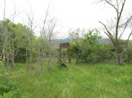 Land For Sale, Agricultural, Lamisqana