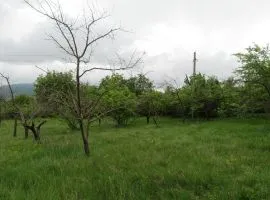 Land For Sale, Agricultural, Lamisqana