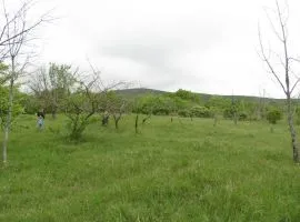 Land For Sale, Agricultural, Lamisqana