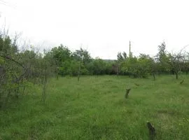 Land For Sale, Agricultural, Lamisqana