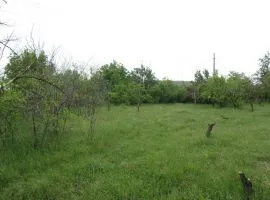 Land For Sale, Agricultural, Lamisqana