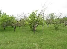 Land For Sale, Agricultural, Lamisqana