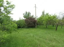 Land For Sale, Agricultural, Lamisqana