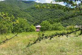 House For Sale, Ananuri 