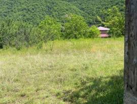 House For Sale, Ananuri 