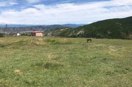 იყიდება მიწის ნაკვეთი, სასოფლო - სამეურნეო, ზემო ნიჩბისი