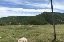 იყიდება მიწის ნაკვეთი, სასოფლო - სამეურნეო, ზემო ნიჩბისი