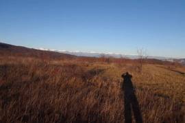 Land For Sale, Agricultural, Kobadze