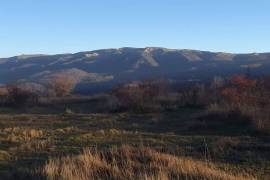 Land For Sale, Agricultural, Kobadze