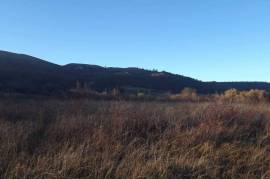 Land For Sale, Agricultural, Kobadze