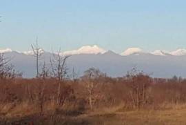Land For Sale, Agricultural, Kobadze