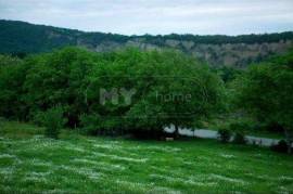 Daily Rent, 5 Room, Telavi