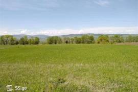 იყიდება მიწის ნაკვეთი, სასოფლო - სამეურნეო, თრანი