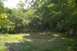 Land For Sale, Non Agricultural, Chaqvi