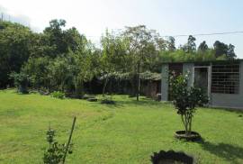 Land For Sale, Chaqvi