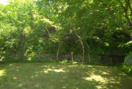 Land For Sale, Non Agricultural, Chaqvi