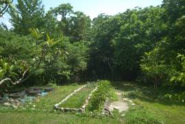 Land For Sale, Chaqvi