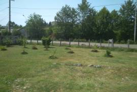 Land For Sale, Chaqvi