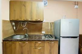 Daily Apartment Rent, Old building, Borjomi