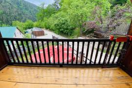 Daily Apartment Rent, Old building, Borjomi