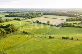 Land For Sale, Non Agricultural, Mukhiani
