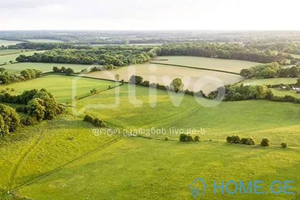 Land For Sale, Non Agricultural, Mukhiani