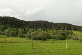 Аренда, 3 Kомнатная, Новостройка, Боржомский район, Бакуриани