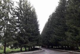 Аренда, 3 Kомнатная, Новостройка, Боржомский район, Бакуриани