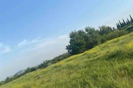 Land For Sale, Digomi 1 - 9