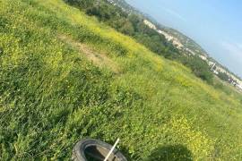 Land For Sale, Non Agricultural, Digomi 1 - 9
