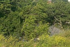 Land For Sale, Digomi 1 - 9